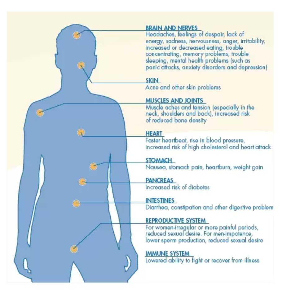 Graphic showing body and different areas affected by stress